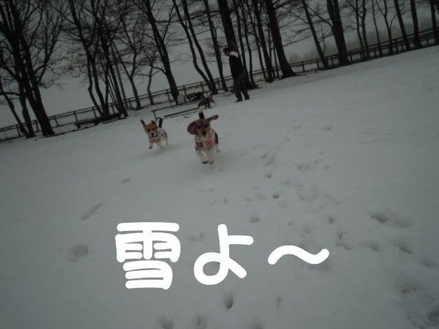 c0166622_17373055.jpg