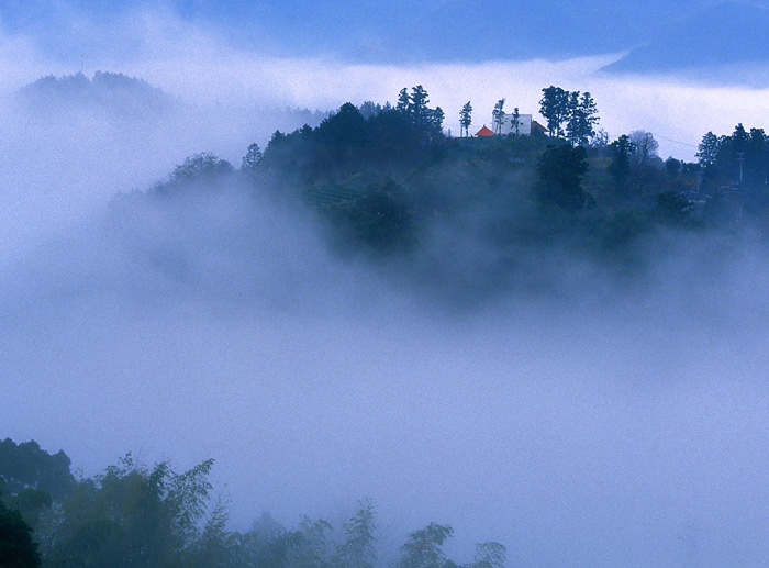 d0147530_7593620.jpg