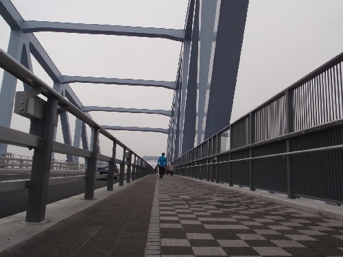 d0107938_1455187.jpg