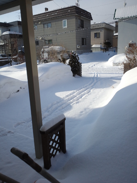 c0117239_7294020.jpg