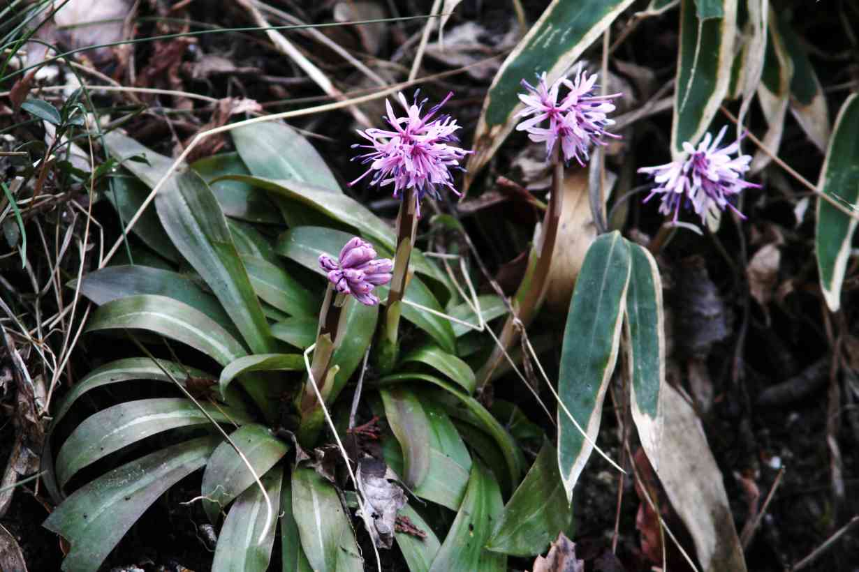 c0172139_23272329.jpg