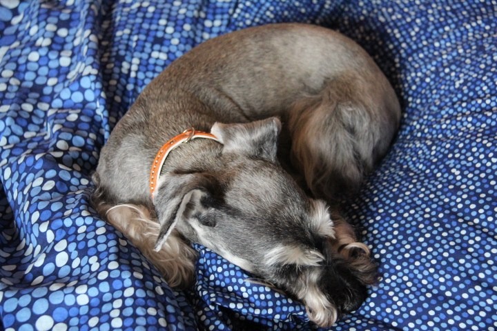 c0153740_0414971.jpg