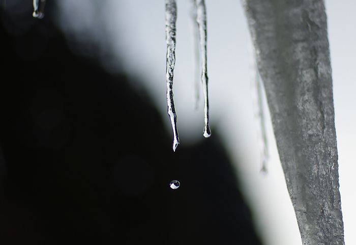 b0130243_0123112.jpg