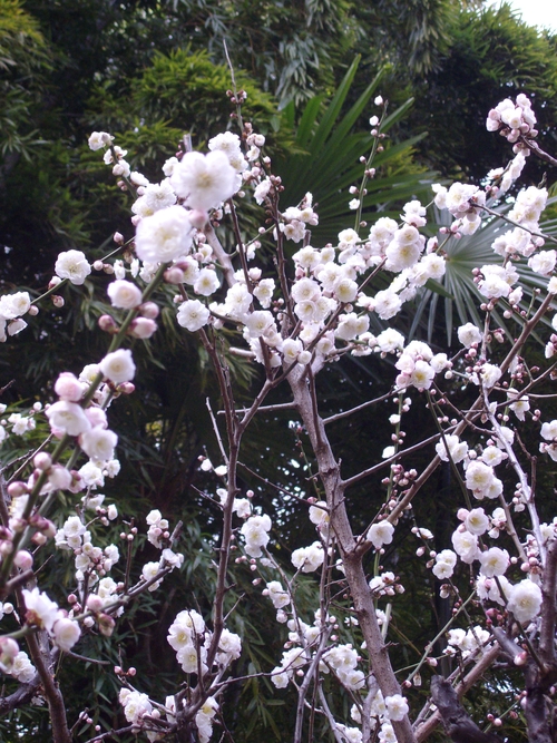 b0232447_2252682.jpg