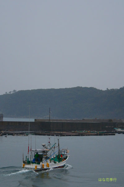 d0036450_9322560.jpg
