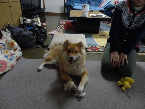f0046854_2212964.jpg