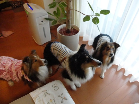 f0046854_22252398.jpg