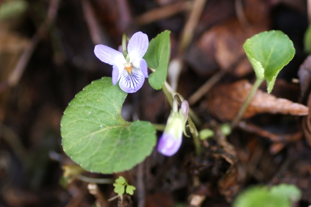 c0248473_201162.jpg