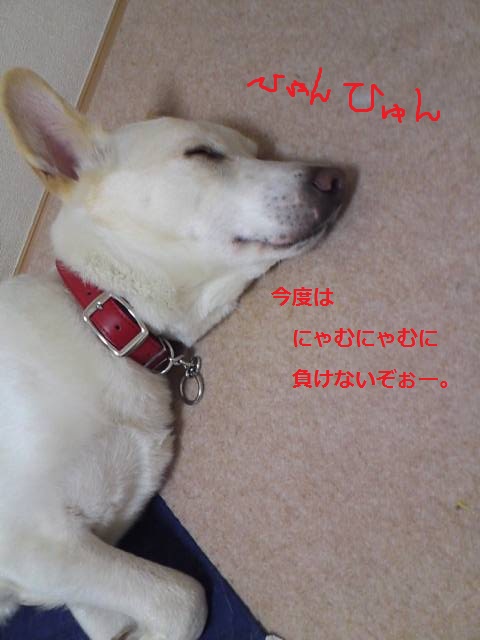 a0132275_1342127.jpg