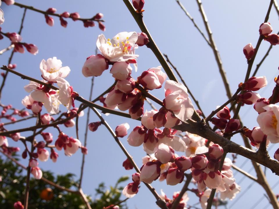 b0239875_2341161.jpg
