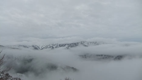 c0022275_19501459.jpg