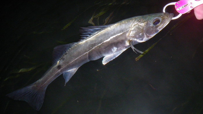c0197578_71432.jpg