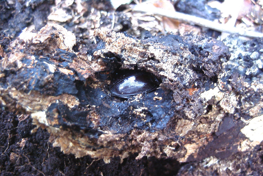 f0183484_22372033.jpg