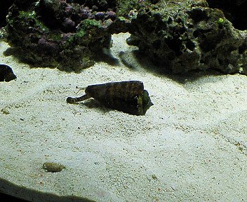 c0014187_05708.jpg
