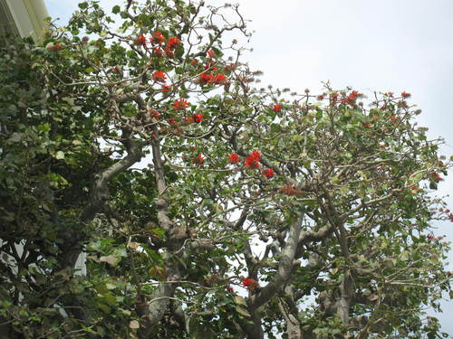 c0064389_1823991.jpg