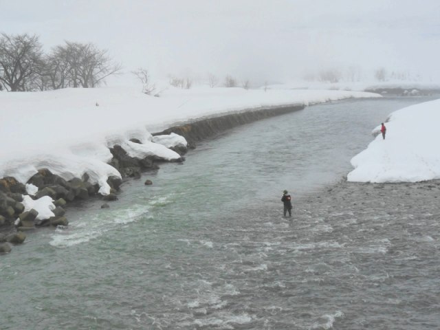 e0202393_18353699.jpg