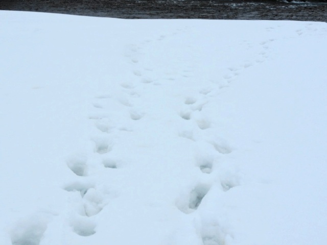 e0202393_1835515.jpg