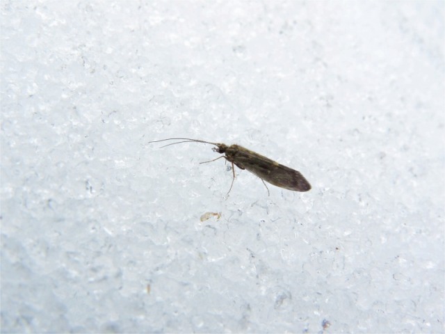 e0202393_183654.jpg