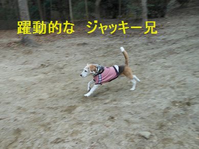 a0137294_23102397.jpg