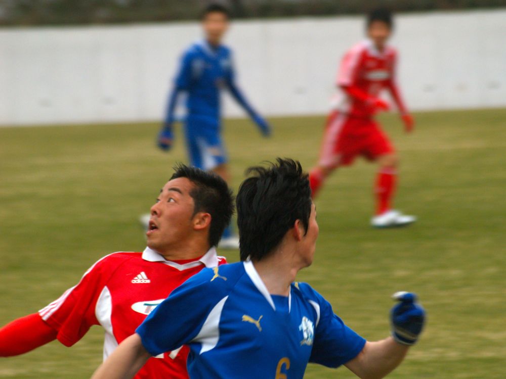 b0005596_7303359.jpg