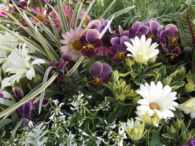 c0238601_9272873.jpg