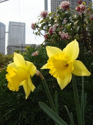 a0167803_9224795.jpg