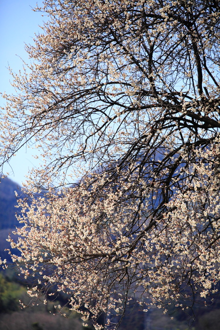 a0251508_2101756.jpg