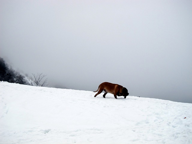 e0192217_11531286.jpg