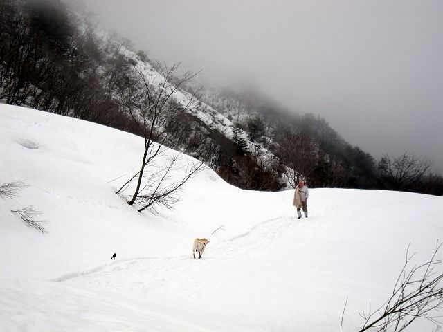e0192217_1239335.jpg