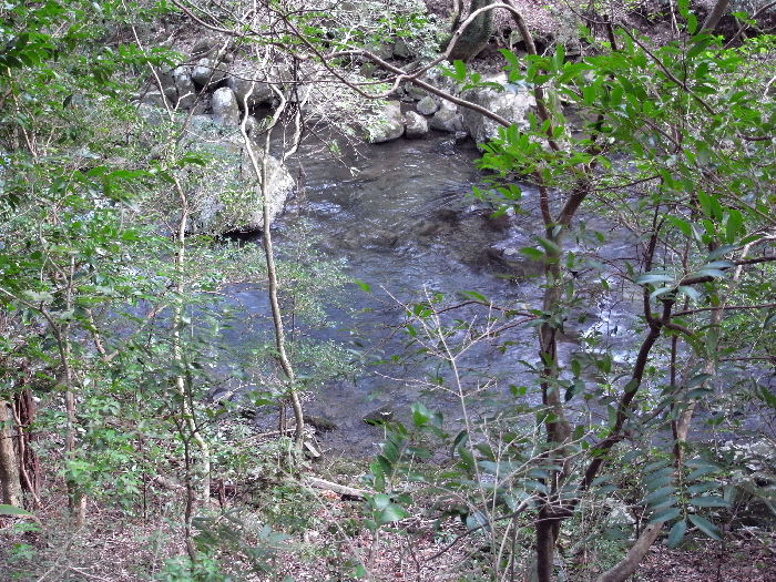 f0103126_20364373.jpg