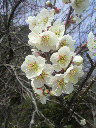 c0034029_20533220.jpg