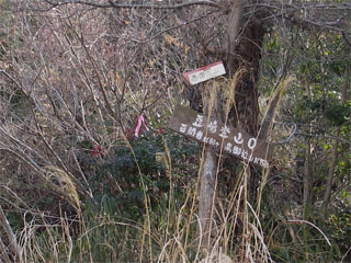 d0163834_17465341.jpg