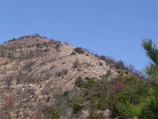 d0163834_17482687.jpg