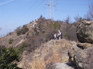 d0163834_1752170.jpg