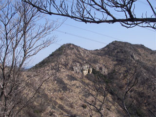 d0163834_2022323.jpg
