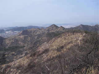 d0163834_20362738.jpg