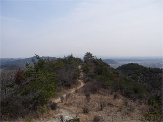 d0163834_20455189.jpg