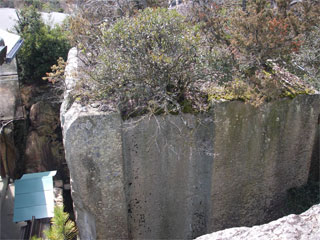 d0163834_2174512.jpg