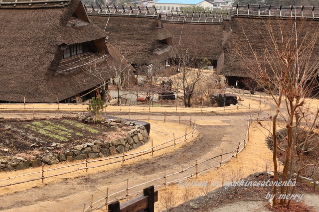 a0207736_1675538.jpg