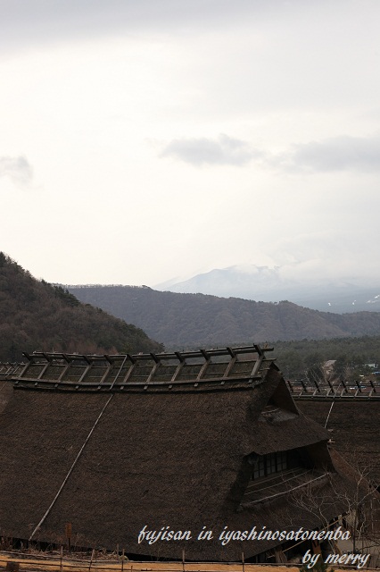 a0207736_22113316.jpg