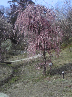 a0248838_23481592.jpg