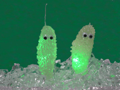 e0005548_2214543.gif