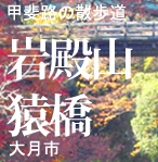 c0119160_6481759.jpg