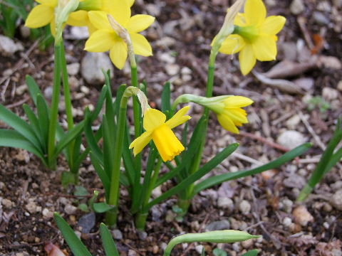 e0088260_2223551.jpg