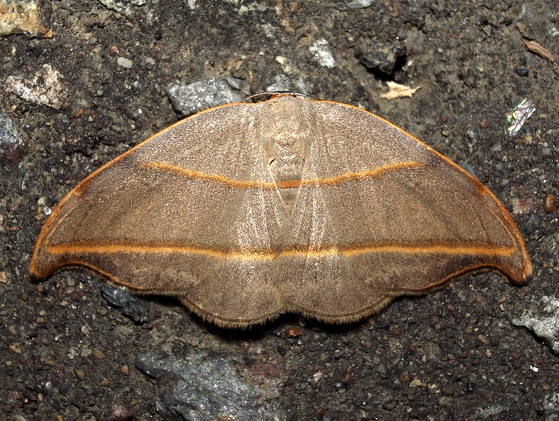 b0130166_21542960.jpg