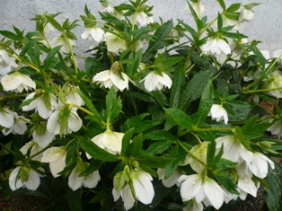 a0220570_0113263.jpg