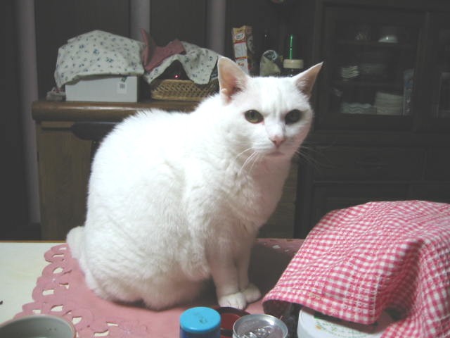 e0031572_9301569.jpg