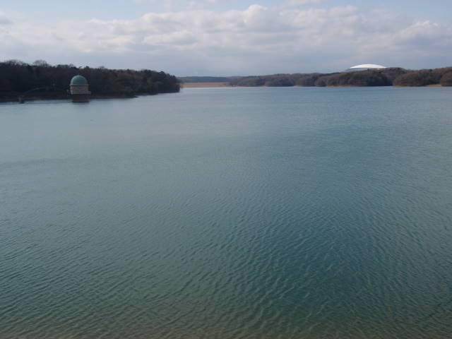 a0113874_1905654.jpg