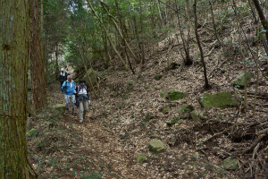 d0245378_2014643.jpg