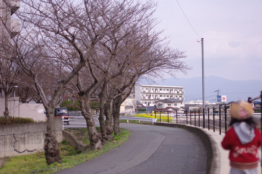 c0182782_17342398.jpg